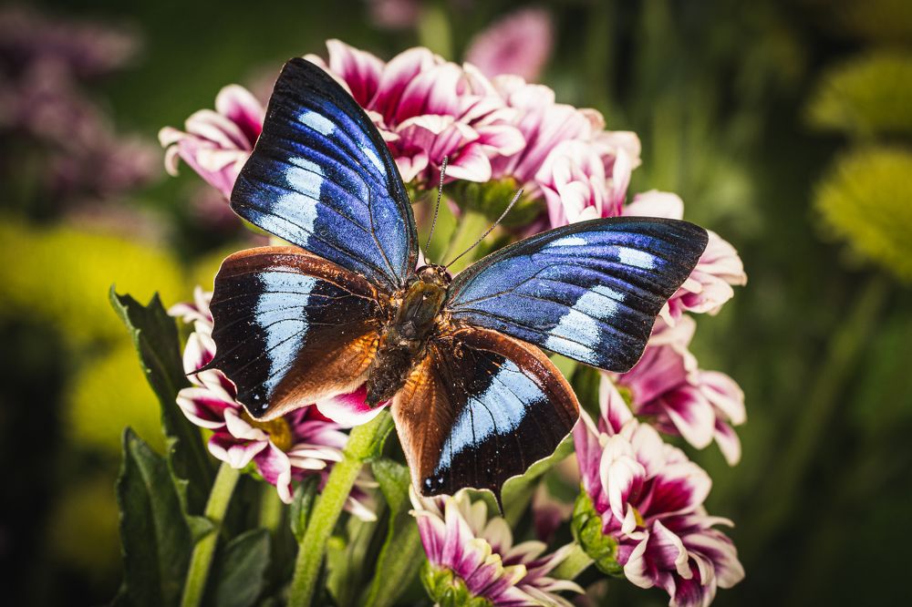 Photograph by Gevork Gukasyan