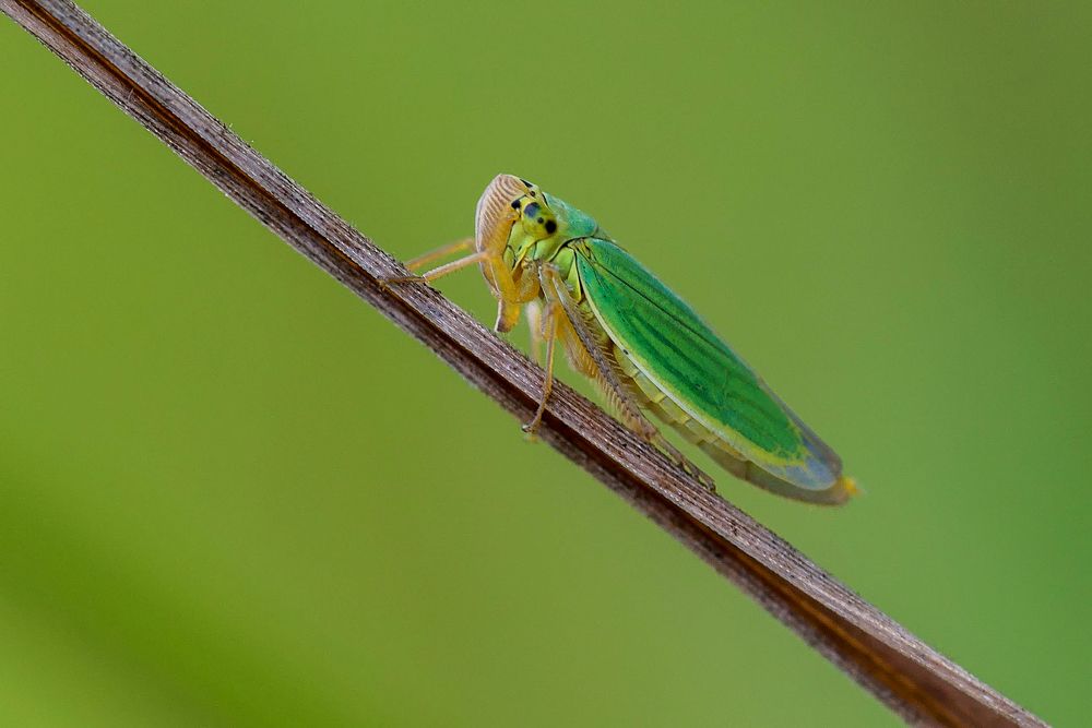 Photograph by Юрий Яковлевич