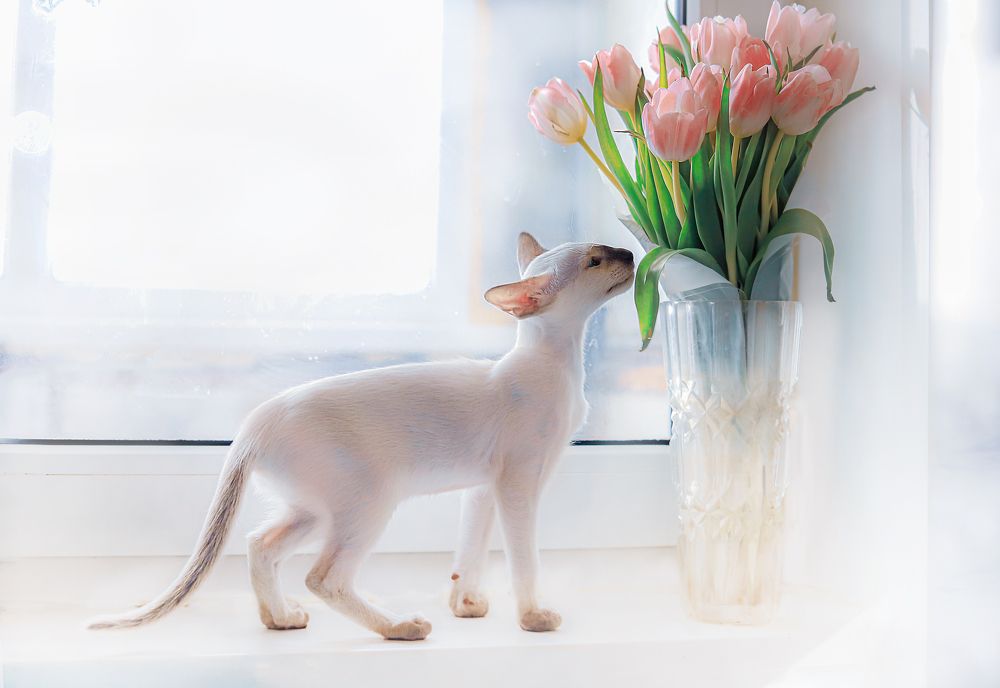 Photograph by Елена Лотник