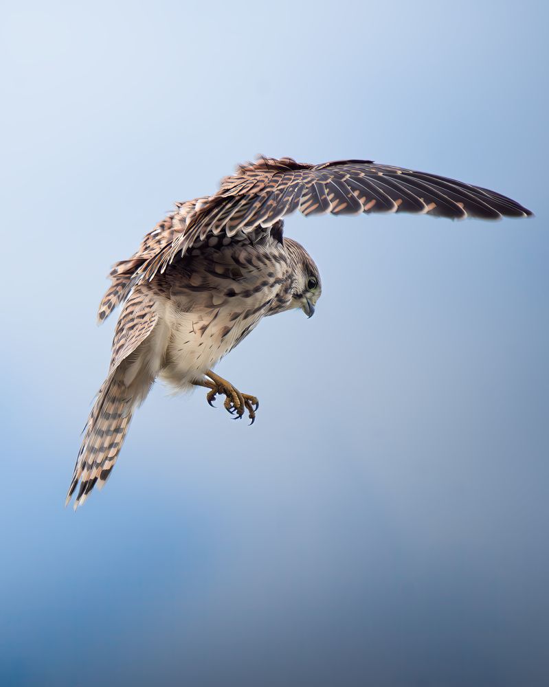 Фотография автора Митин Дмитрий