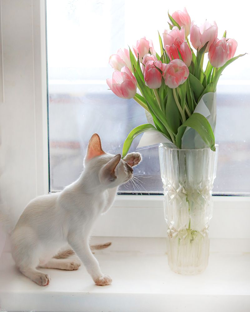 Photograph by Елена Лотник