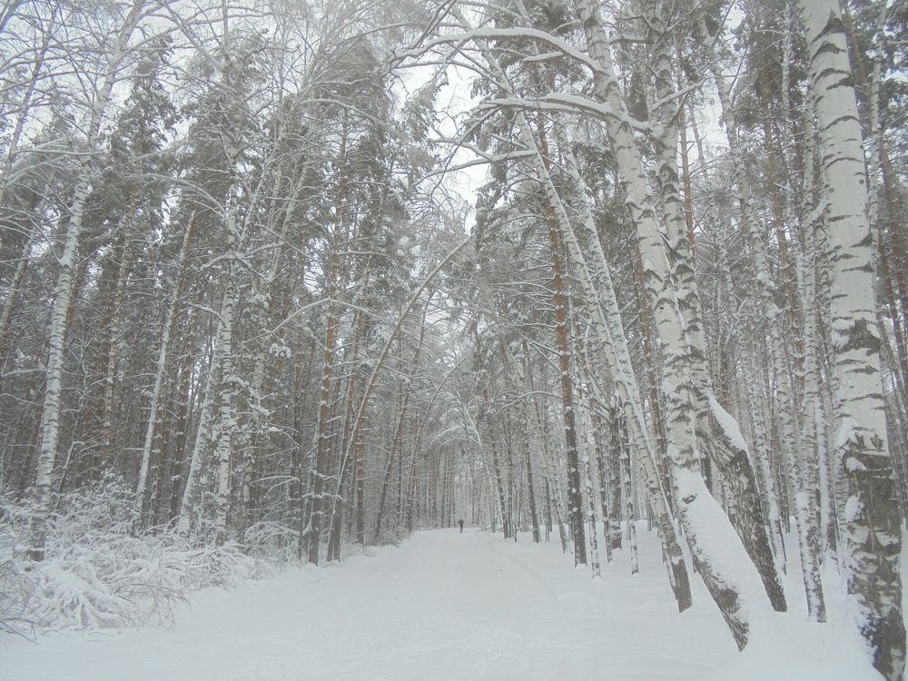 Всё относительно ...