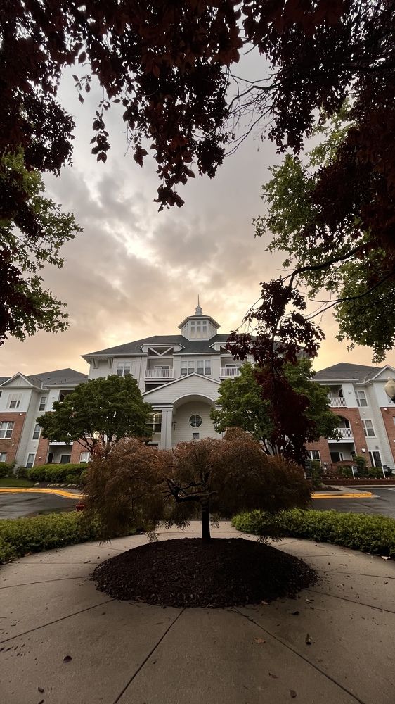 Photograph by Bolatkali Zhan