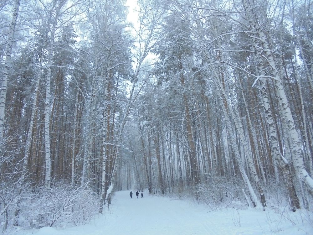 Ваше величество ...