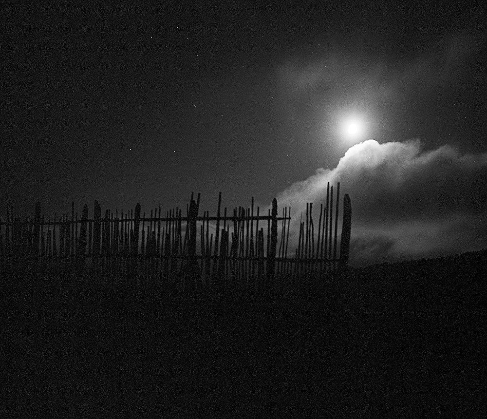 Photograph by Дмитрий Ткаченко