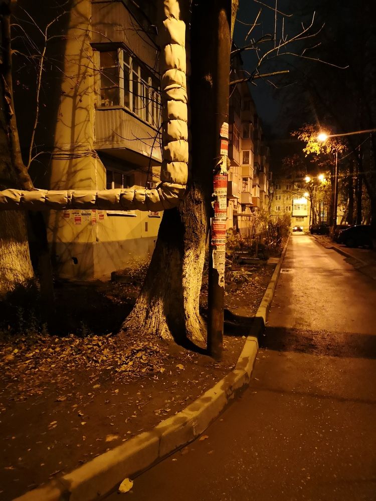 Photograph by Михаил Янкин