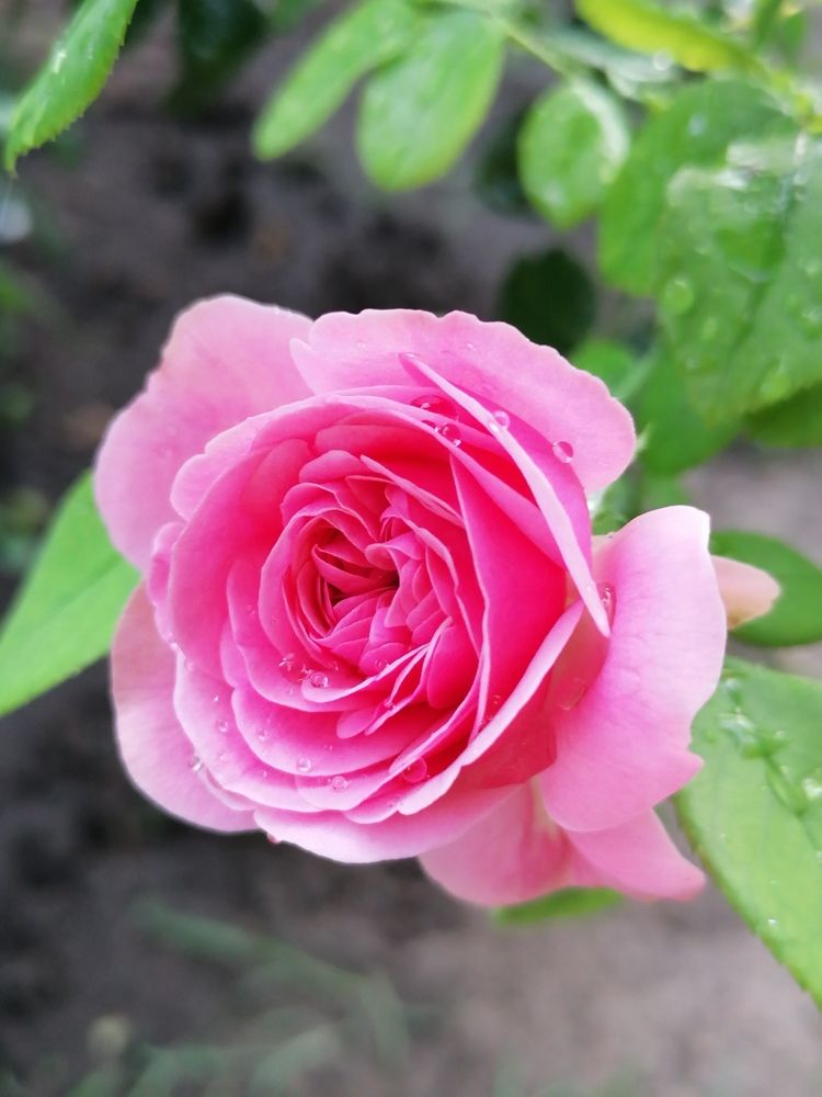 Photograph by Екатерина Подковенко