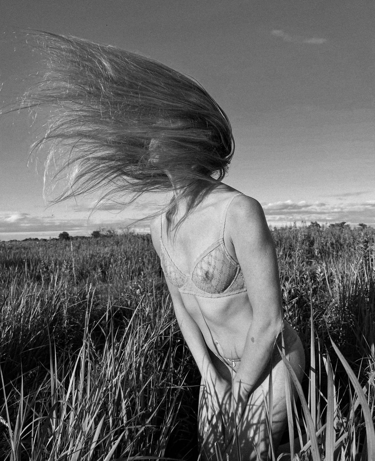 Photo #9356640