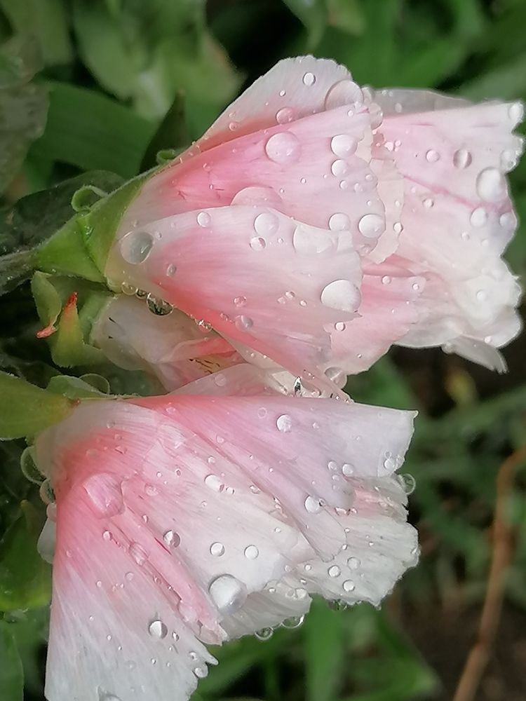 Photograph by Екатерина Подковенко