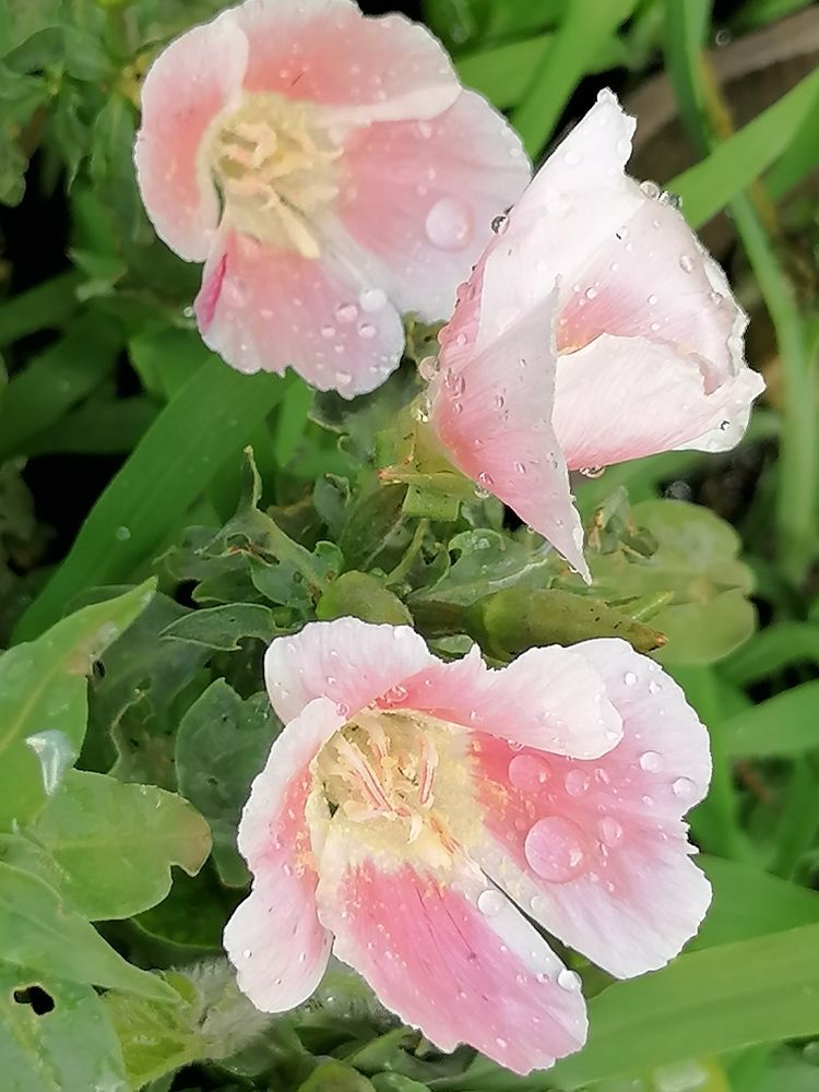 Photograph by Екатерина Подковенко