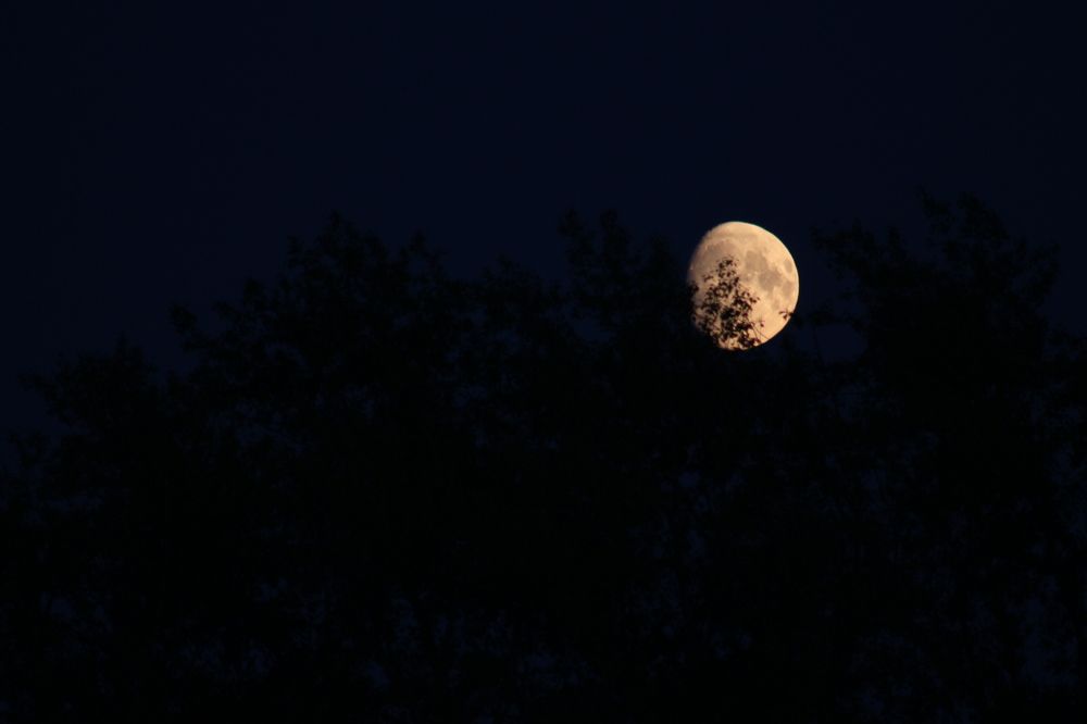 Photograph by Елена Змейкова