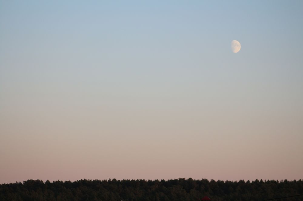 Photograph by Елена Змейкова