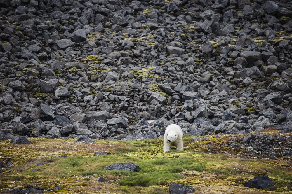 Photograph by Александр Малкин