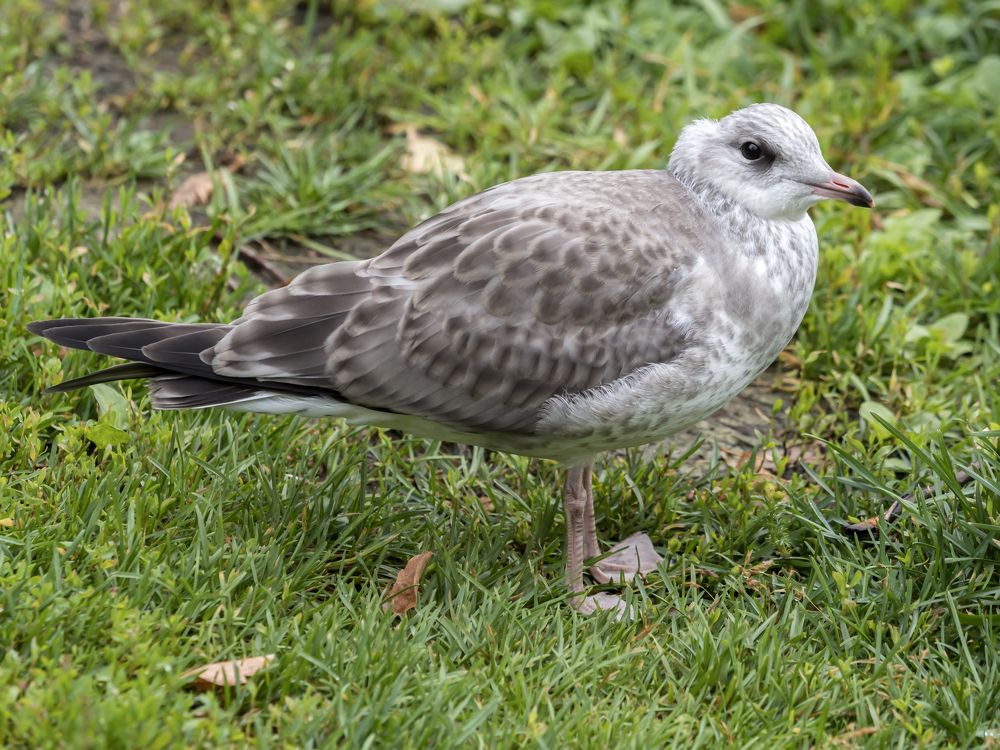 Photograph by Yury Fokin