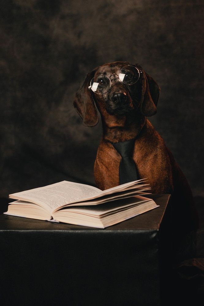 Photograph by Виктория Клименко