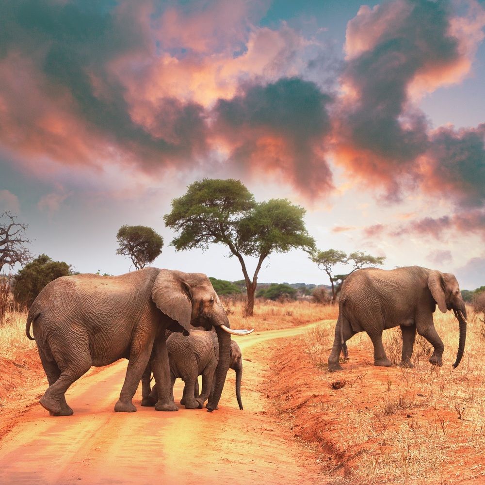 Фотография автора Anne Gabrielle Mougin