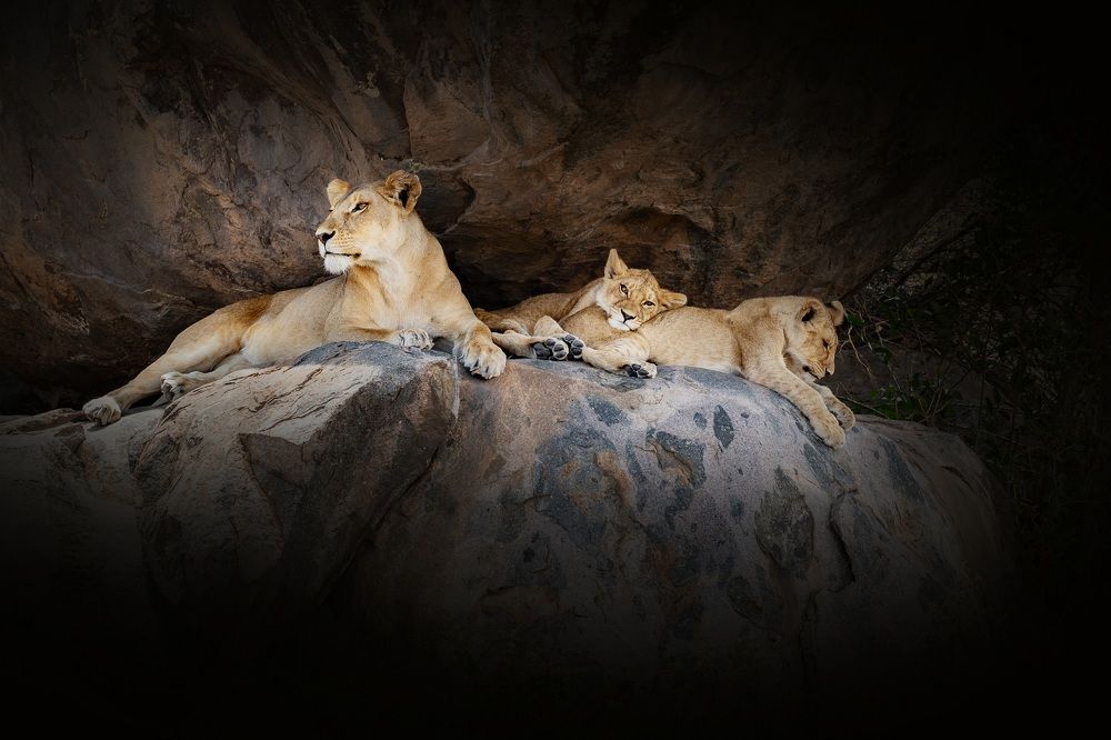 Фотография автора Anne Gabrielle Mougin