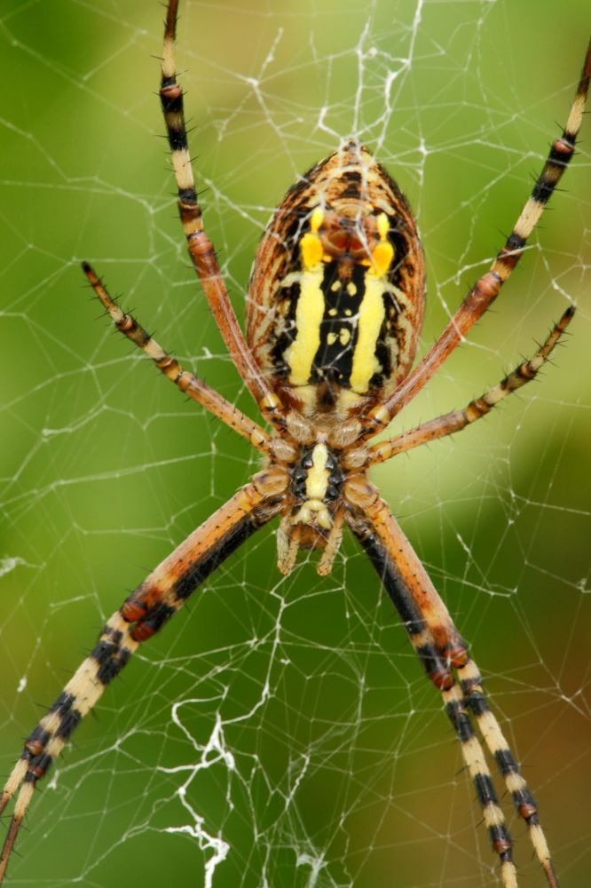 Photograph by Юрий Варюхин