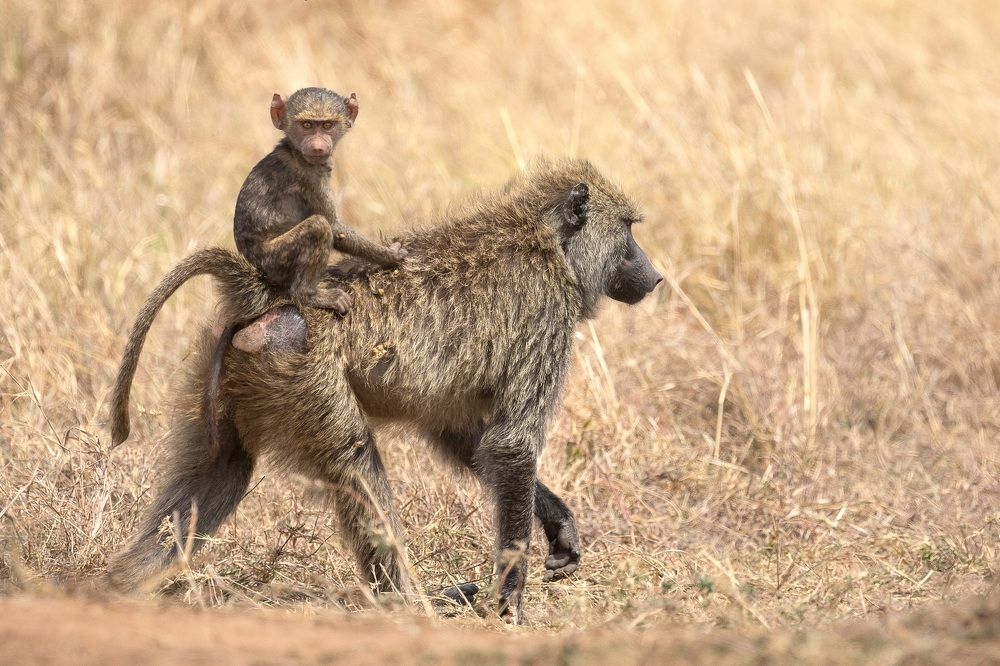 Photograph by Anne Gabrielle Mougin