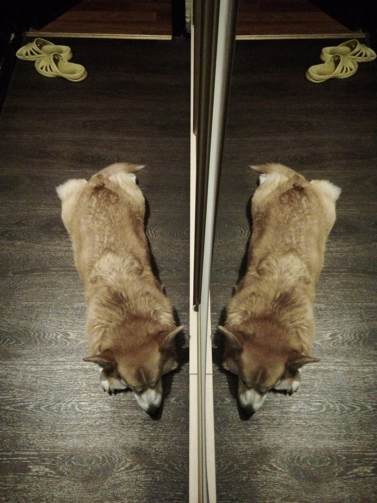 Photograph by Людмила Ковалева