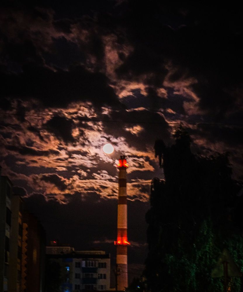 Photograph by Альберт Габбасов