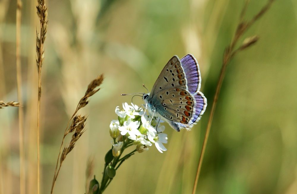 Photograph by Вася Кадочников