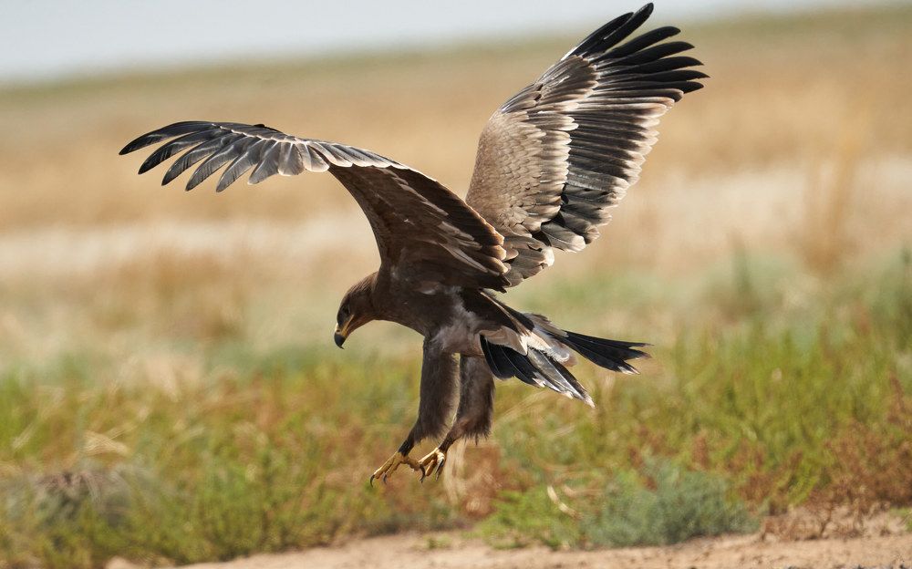 Photograph by Victor Krachkovsky