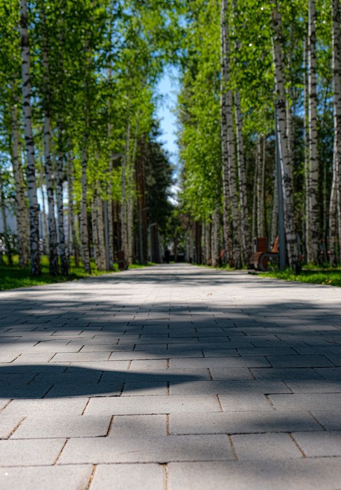 Photograph by Альберт Габбасов