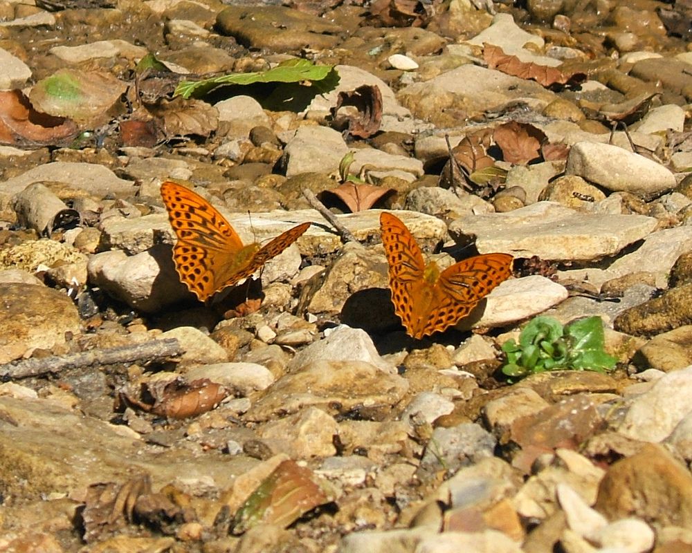 Photograph by Вячеслав Швецов