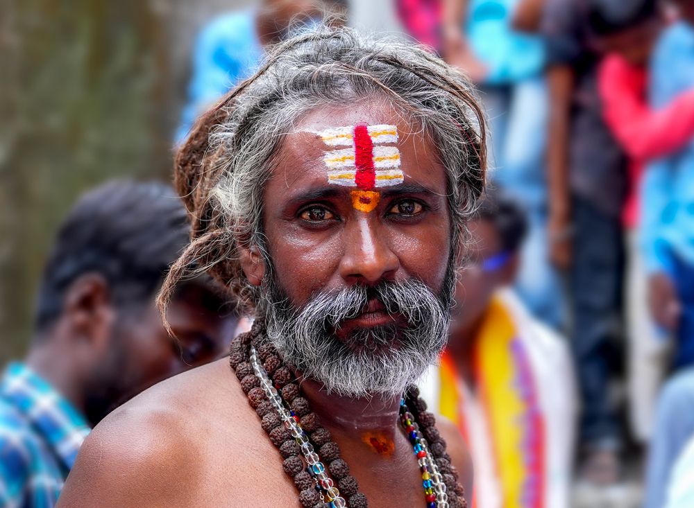 Фотография автора ANIL KUMAR DESHPANDE