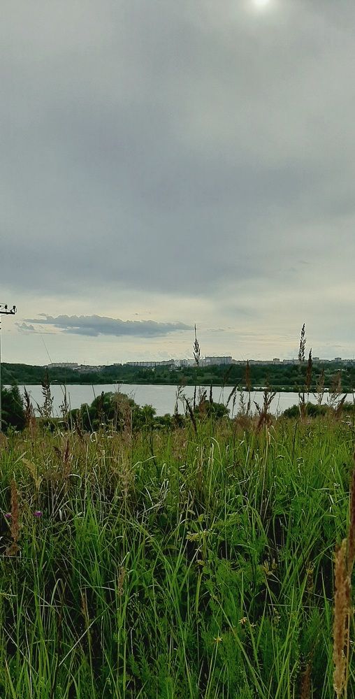 Фотография автора Ия (Левина) Энгельгардт