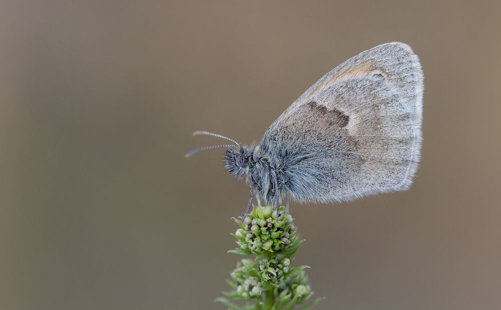 Photograph by  НиКоЛаЙ