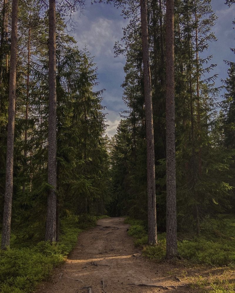 Photograph by Екатерина Николаева