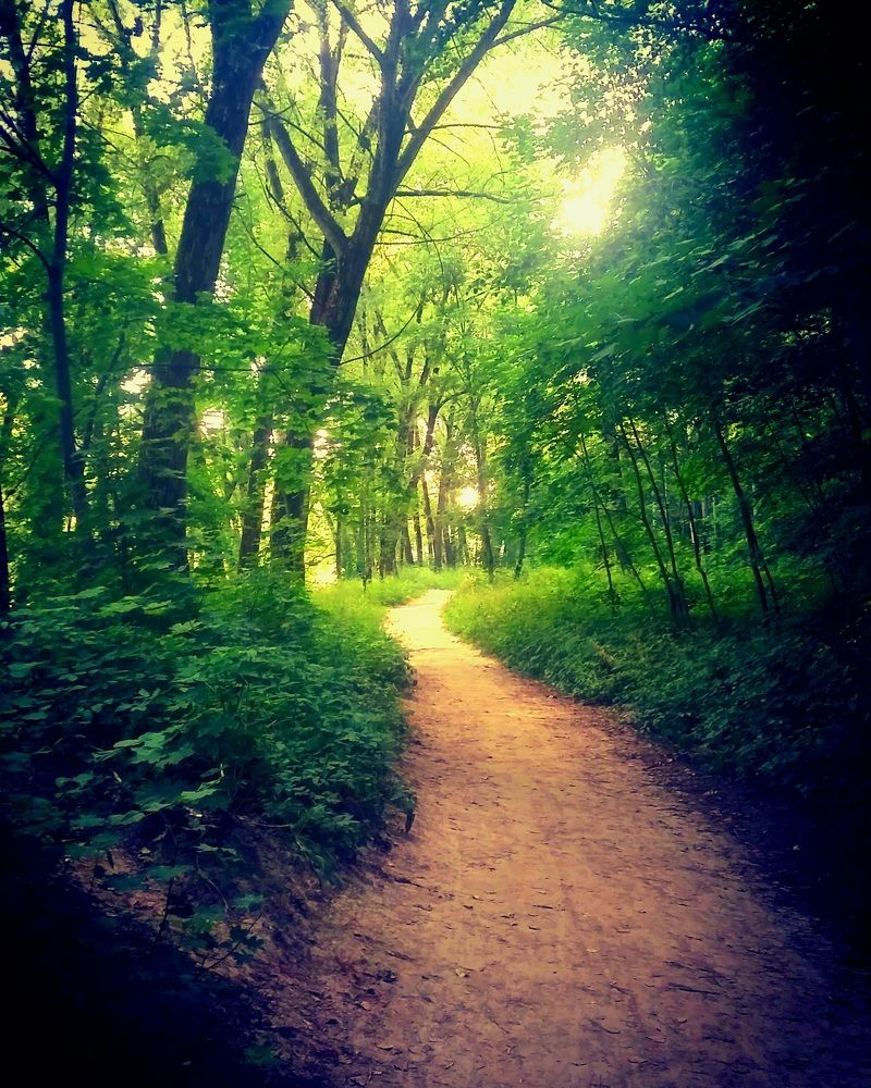 Фотография автора Ия (Левина) Энгельгардт