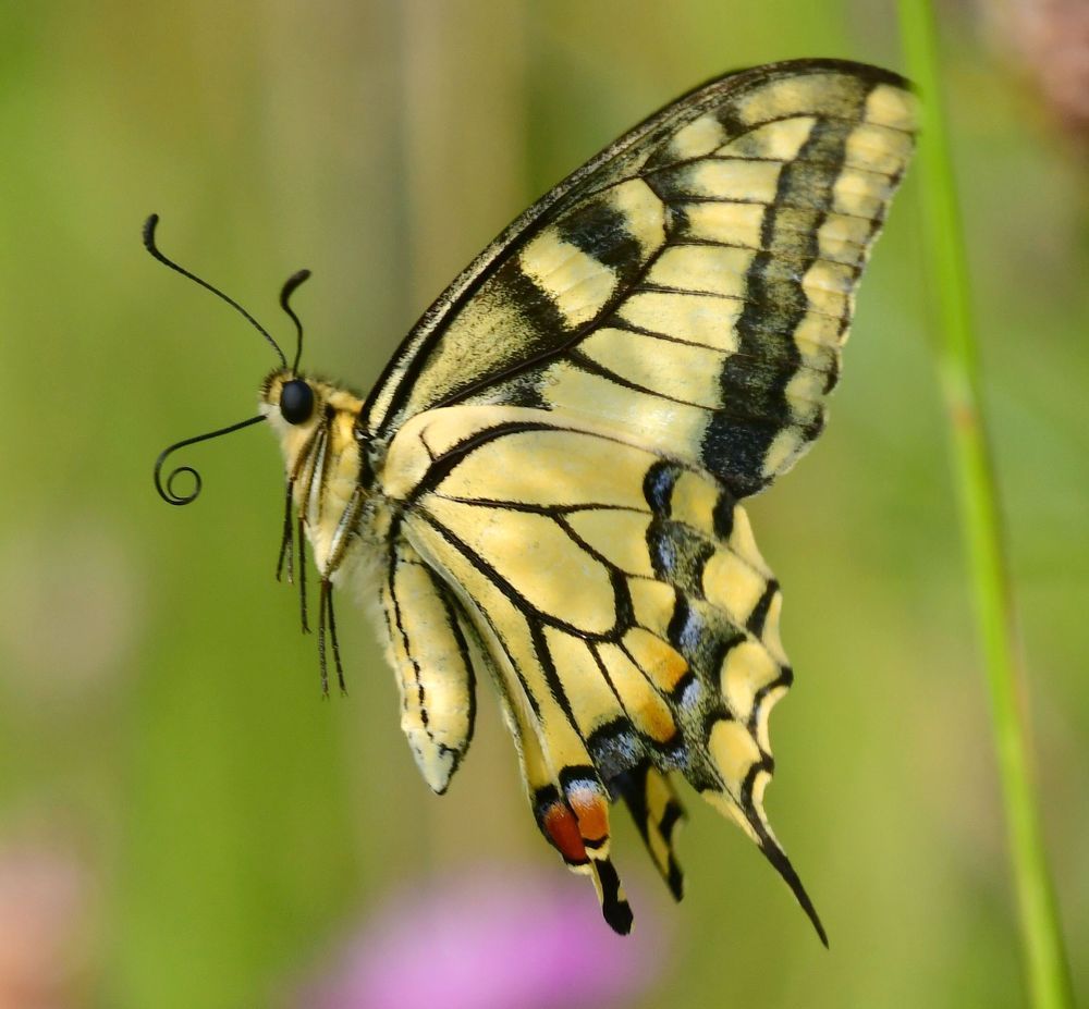 Photograph by Николай Абакумов