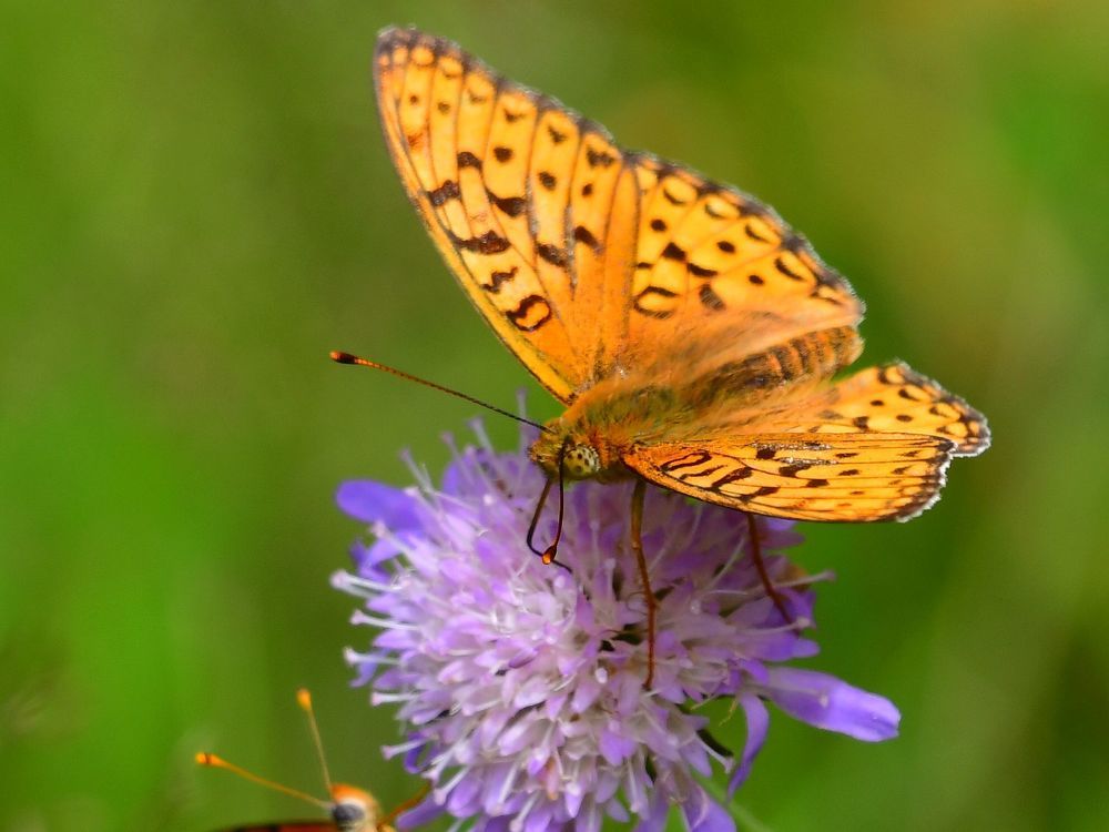Photograph by Николай Абакумов