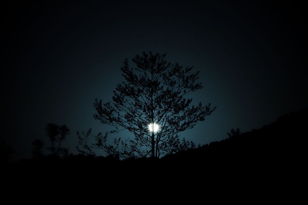 Фотография автора mahyar sj