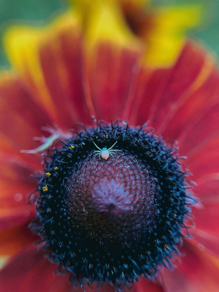 Photograph by Анастасия Могилевец