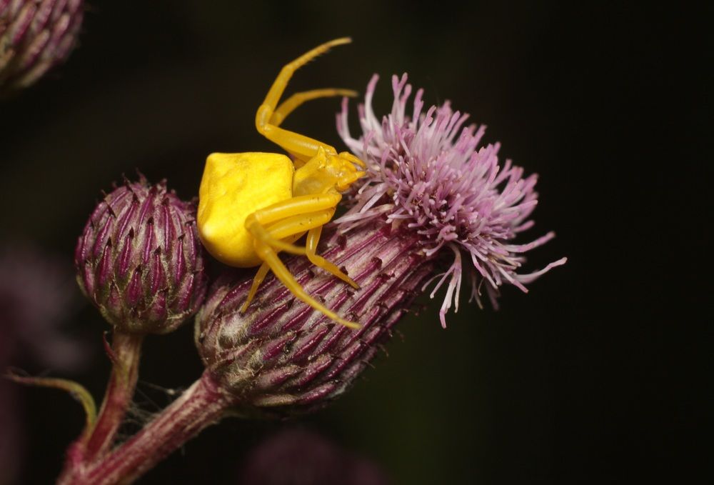 Photograph by Аlessandro