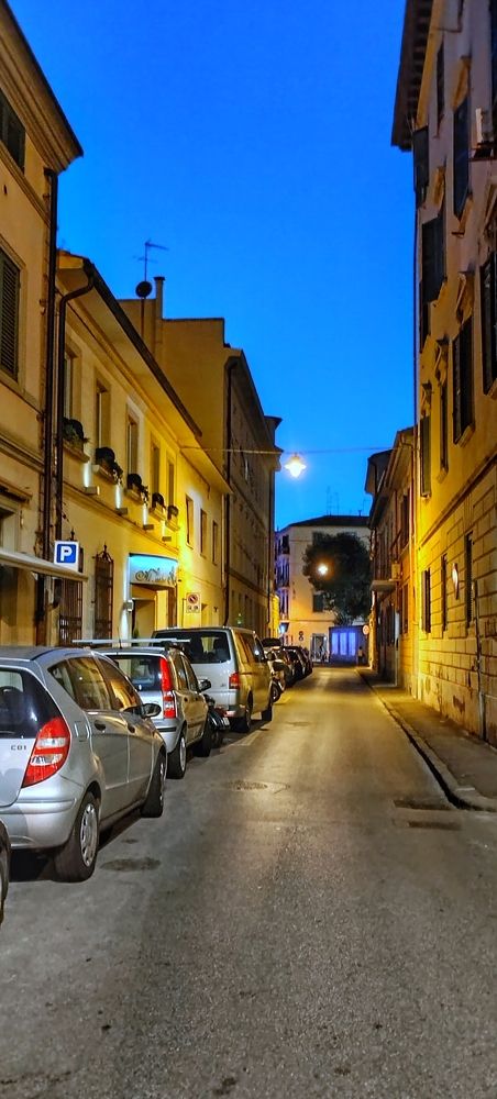 Photograph by Елена Егорова