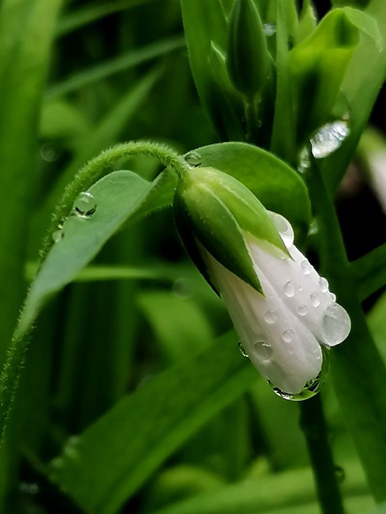 Photograph by Снежана Масалыкина