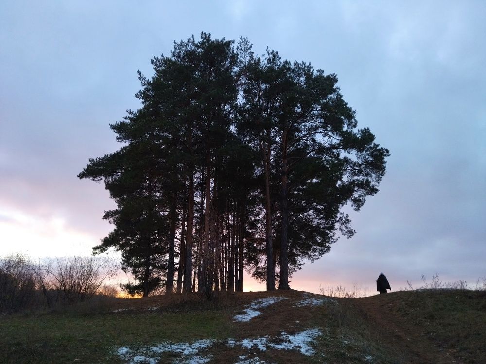 Photograph by Карина Шаланкова