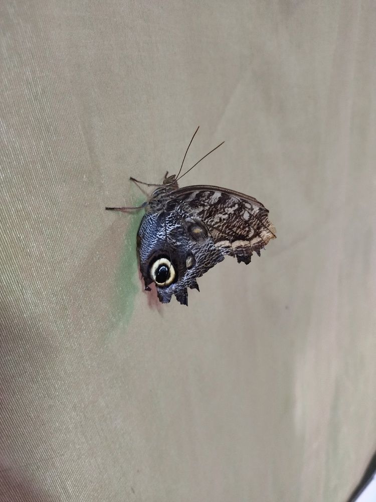 Photograph by Карина Шаланкова