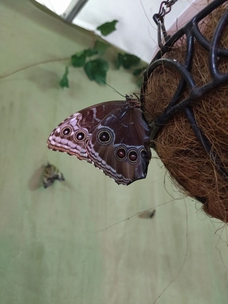 Photograph by Карина Шаланкова