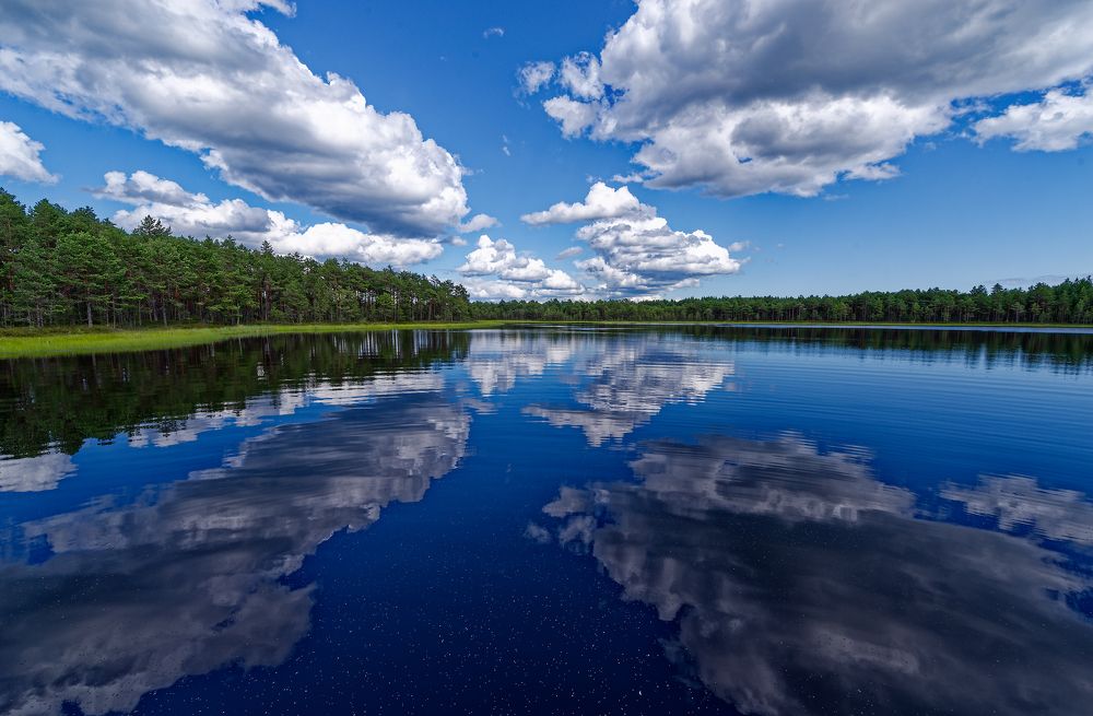 Photograph by Aleksei Degtjarjov