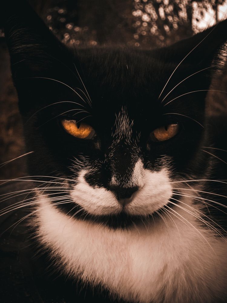Photograph by DIEGO OLIVEIRA
