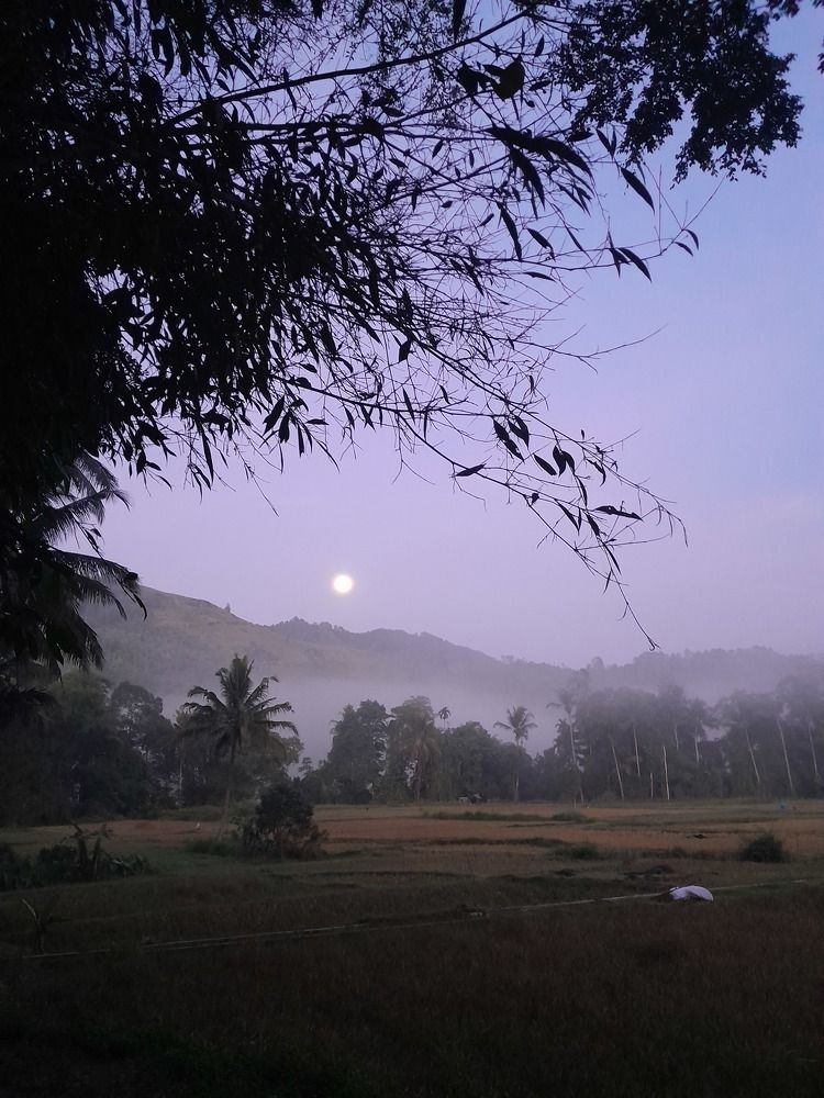 Photograph by M Adal