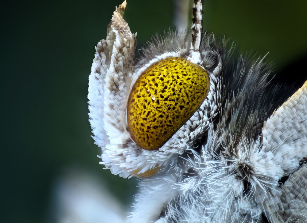 Фотография автора Tran Anh Tuan