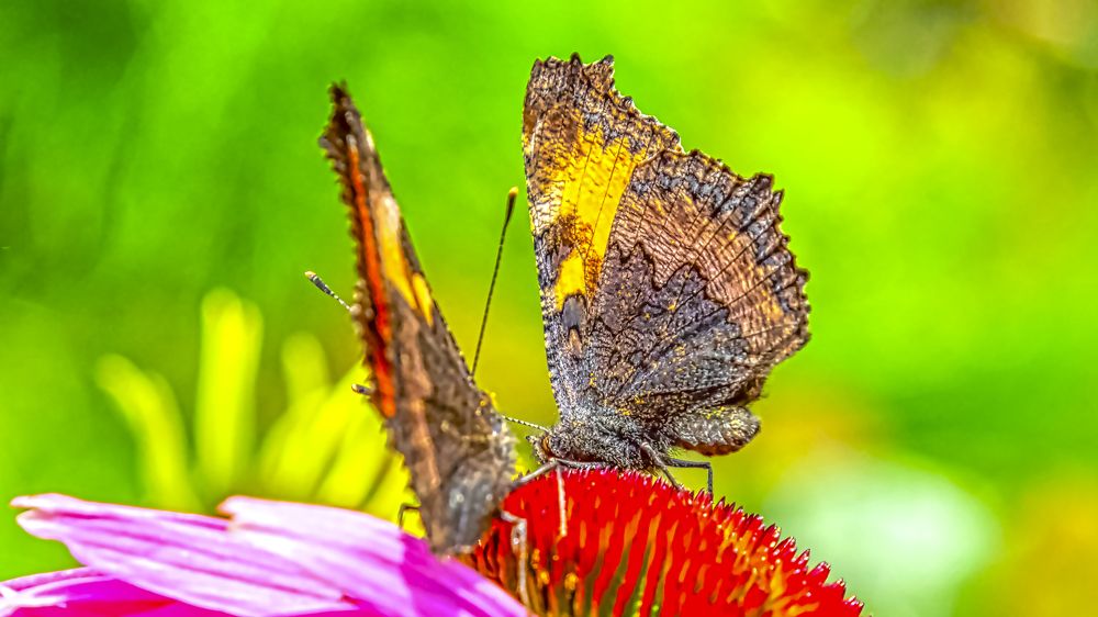 Photograph by Андрей Калинин