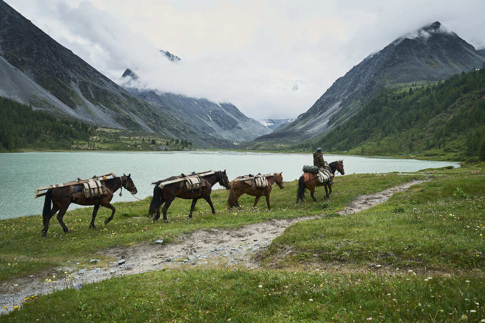 Photograph by Ирина Секачева